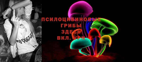бошки Абаза