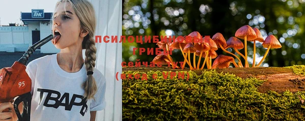 бошки Абаза