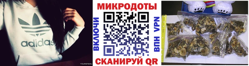 где купить наркотик  Ак-Довурак  Псилоцибиновые грибы Psilocybe 